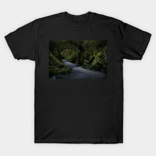 WATER UNDER A ROMAN BRIDGE T-Shirt